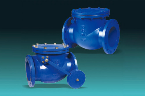 Check Valves