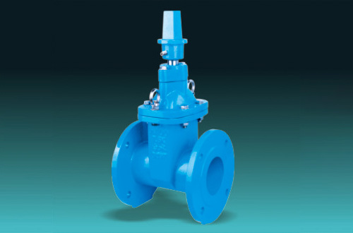 Resilient Seated Gate Valves