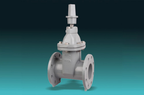 Resilient Seated Gate Valves