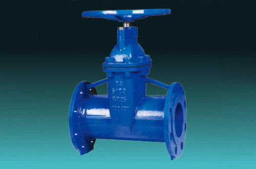 Resilient Seated Gate Valves